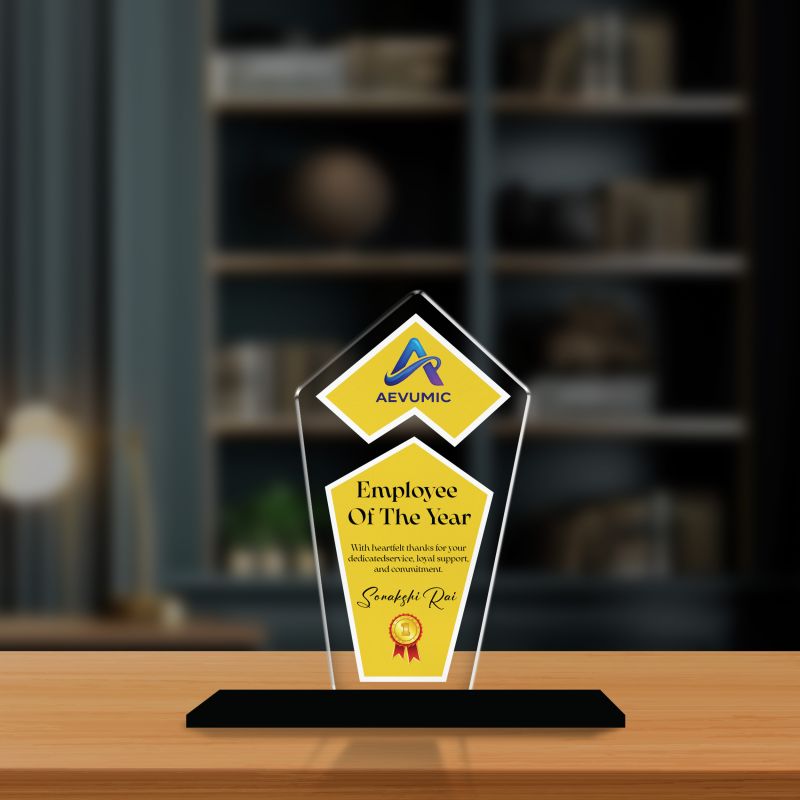 Employee Recognition Personalized Acrylic Award Trophy Custom with Name | Achievement Award for Employee, Corporate Recognition Thankyou Gift for Employee